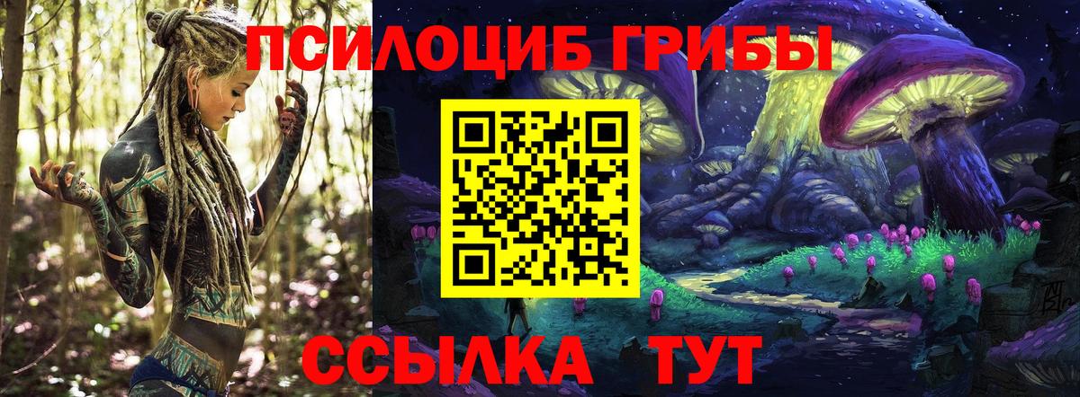 Псилоцибиновые грибы GOLDEN TEACHER  Псилоцибиновые грибы Psilocybine cubensis  Спасск-Дальний  Вход с VPN 