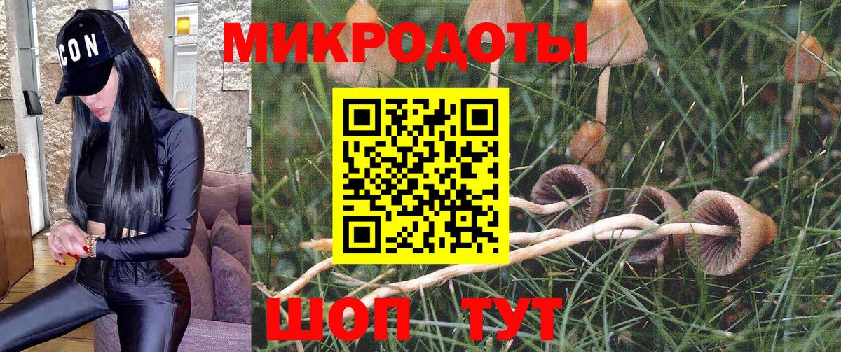 Псилоцибиновые грибы Psilocybine cubensis Спасск-Дальний